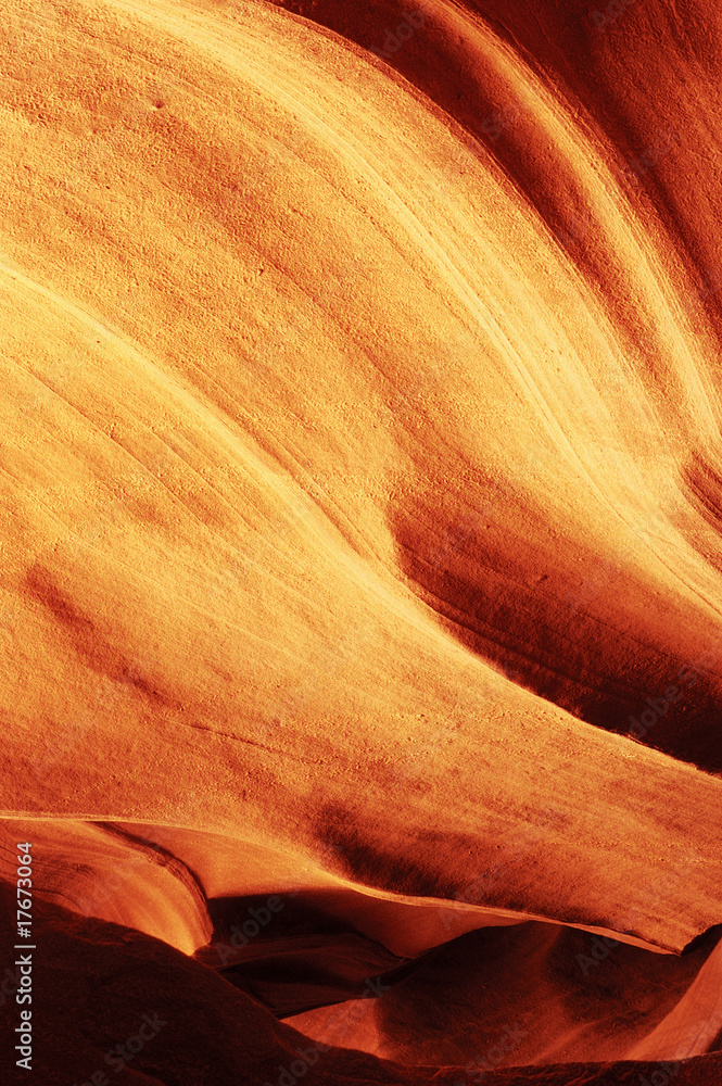 Obraz premium Patterns in Nature 20