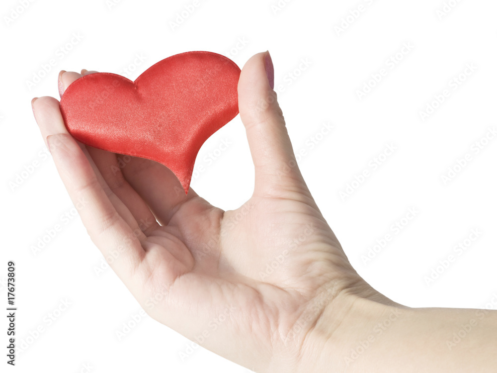 Fototapeta premium scarlet heart in hand