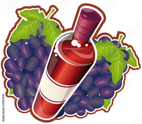 Bouteille dynamique de vin rouge avec des grappes de raisins