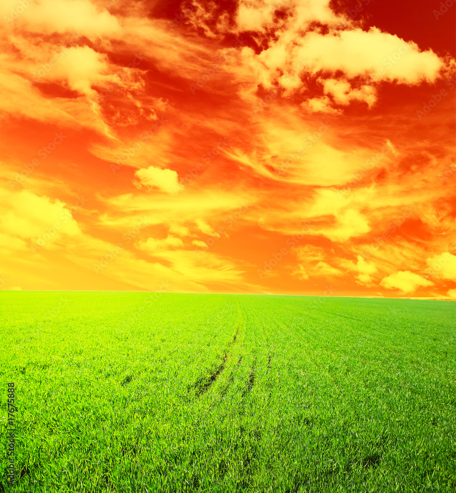 green field and orange sky