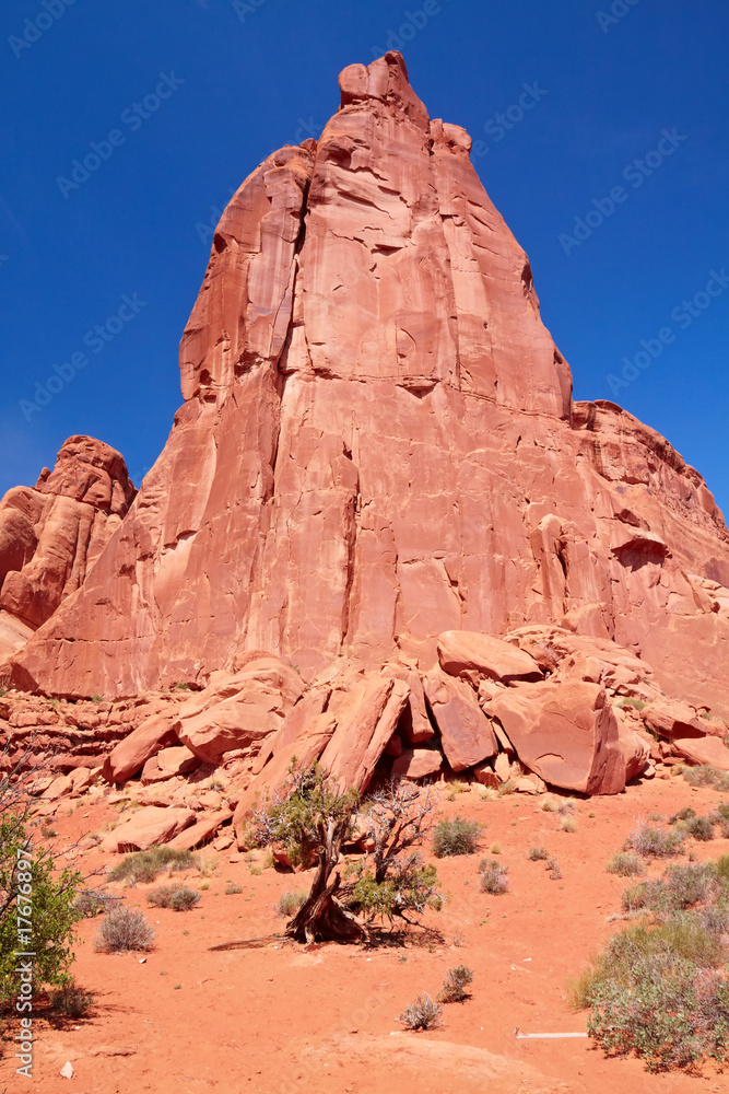 Fototapeta premium Utah Desert