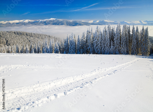 winter mountain landscape © wildman