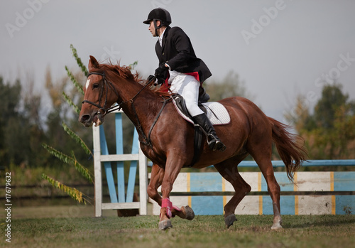 horse and jockey jumping © Rade Lukovic