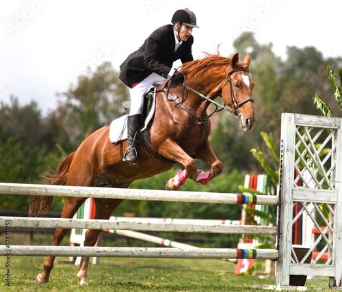 horse and jockey jumping