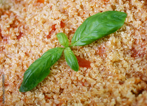 Quinoa sauce tomate photo