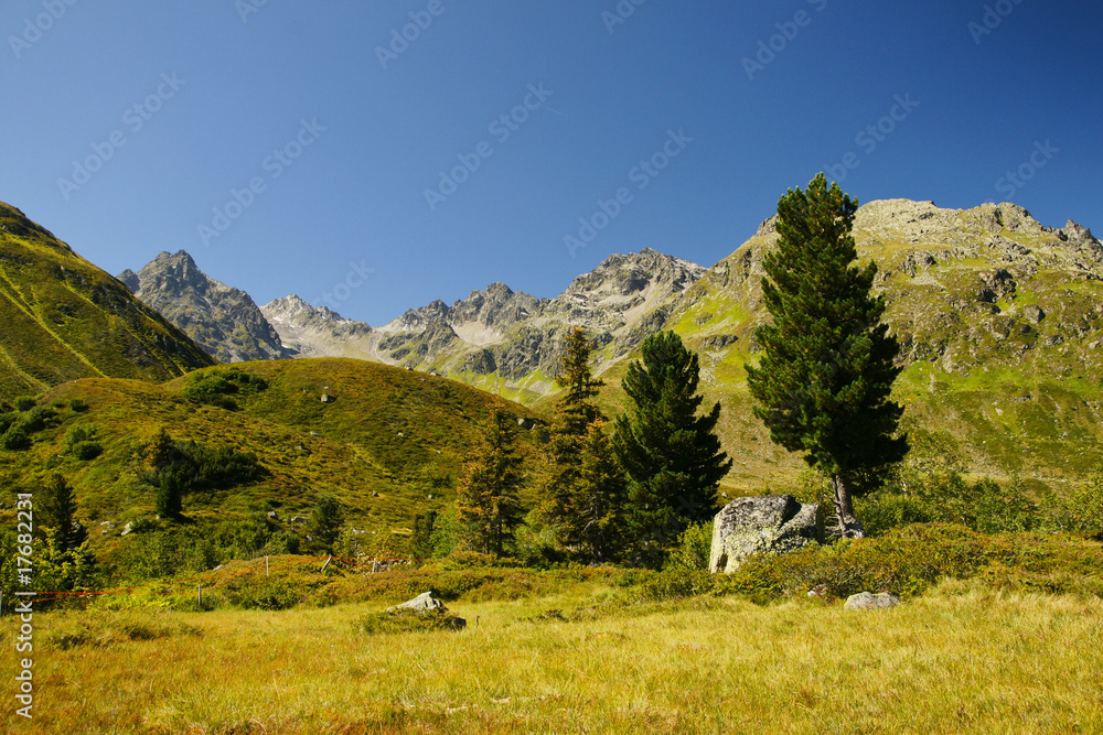 Gebirgslandschaft in Vorarlberg