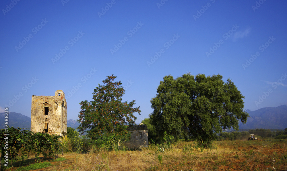 tour de san giuliano dans la plaine orientale de corse