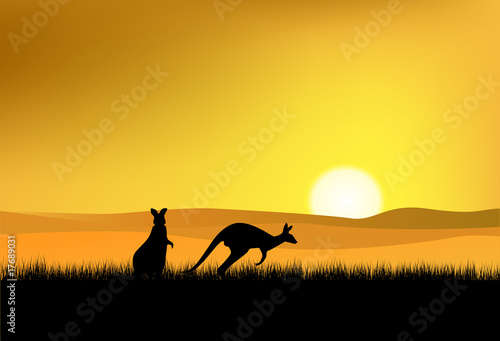 Sunset, Wild life Australia