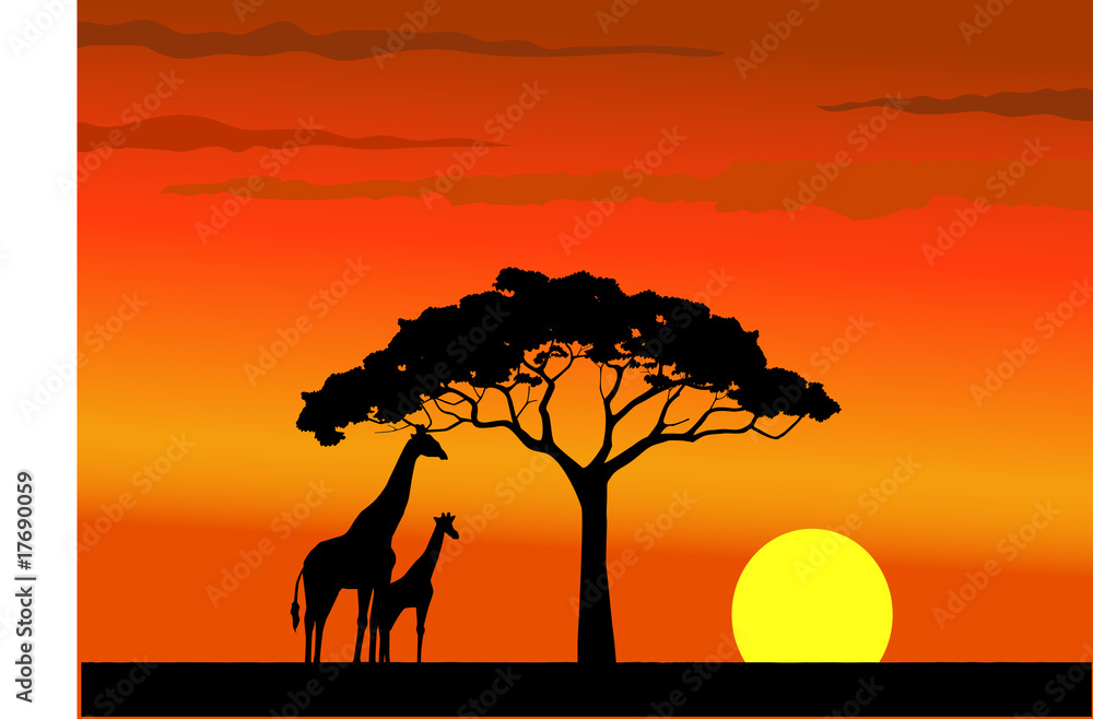 Sunset of wildlife Africa