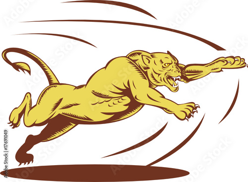 Lioness jumping and attacking