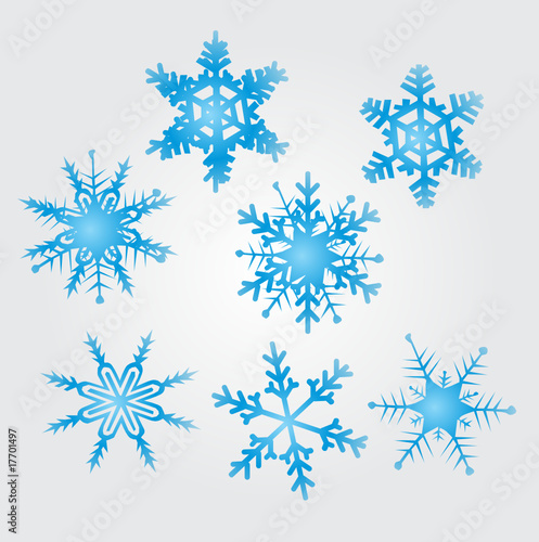 original vector snow flakes