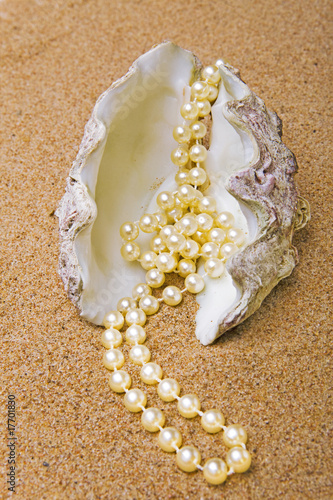 Strand of pearls lays in shell