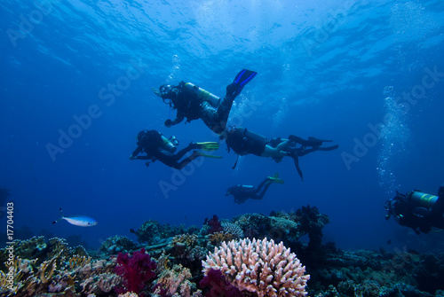 Divers above a colorful tropical reef