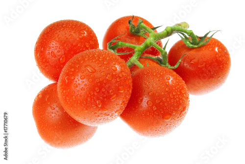 The Dewy Tomato