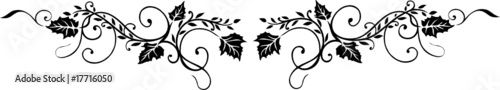 Ranke, Laub, Blätter, filigran, floral, abstrakt