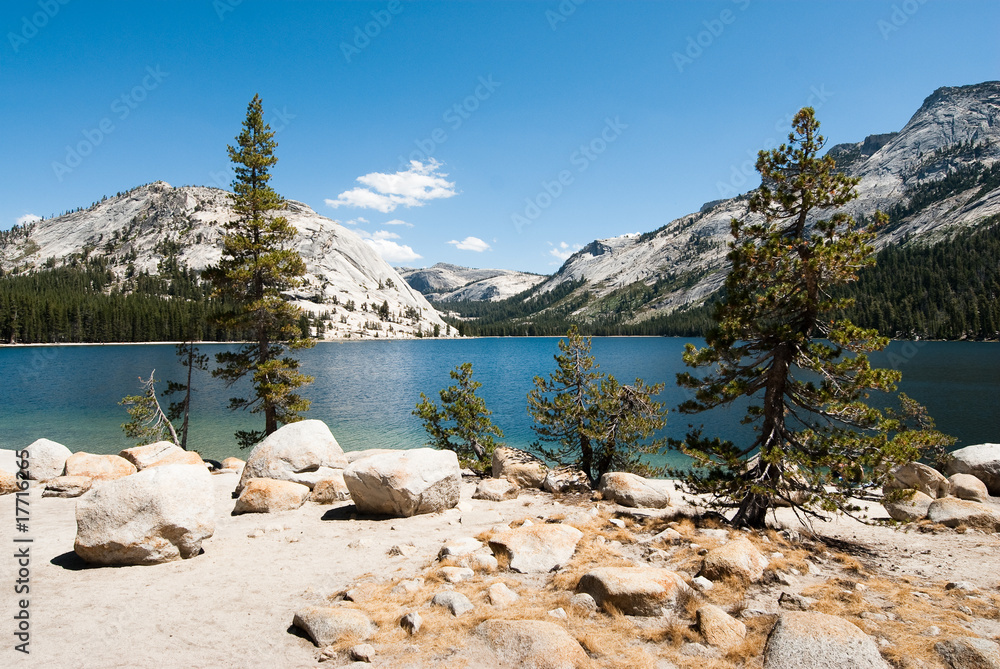 Obraz premium yosemite national park lake tenaya