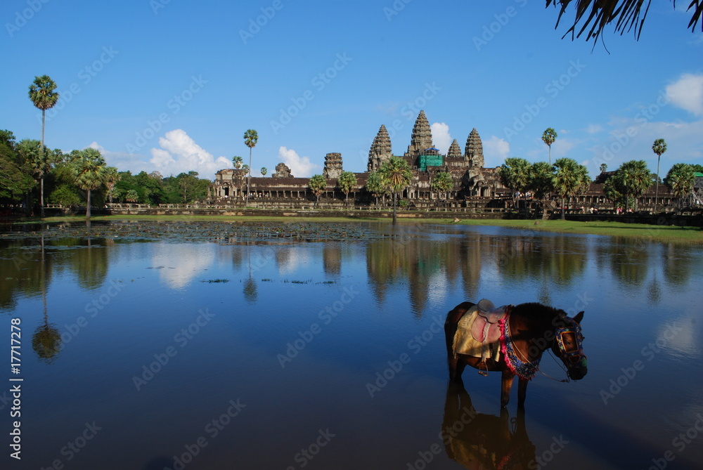 Obraz premium Cheval a Angkor Vat