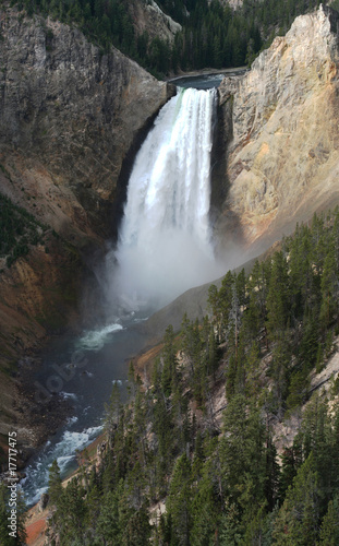 Lower Yellowstone Falls