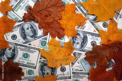 leaves in autumn and money