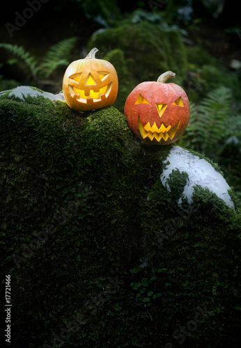 Halloween © Dušan Zidar