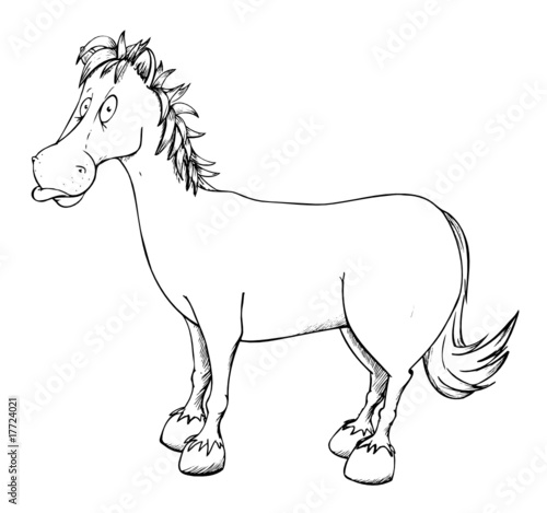 Pferd, reiten, Stall, Bauernhof, Reiterhof