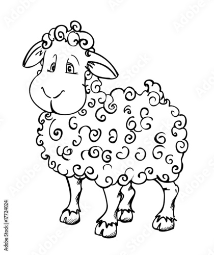 Schaf, Wolle, Lamm, Fell, Frühling, Locken