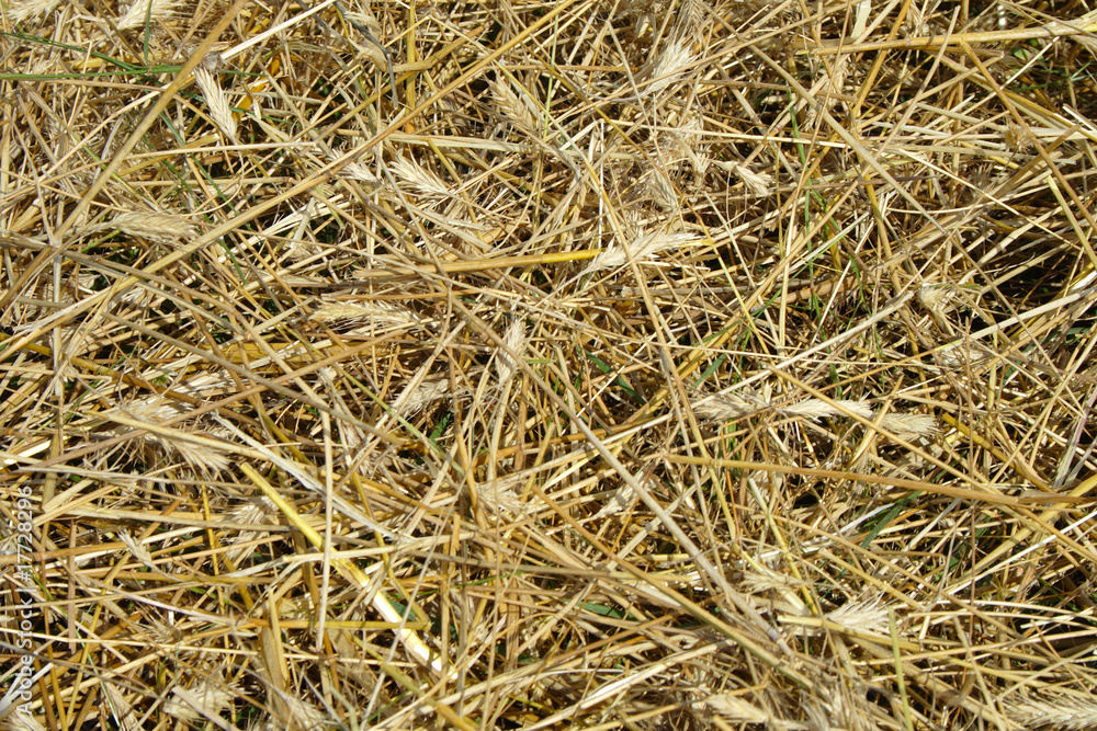 view to straw closeup as background view to straw closeup as background