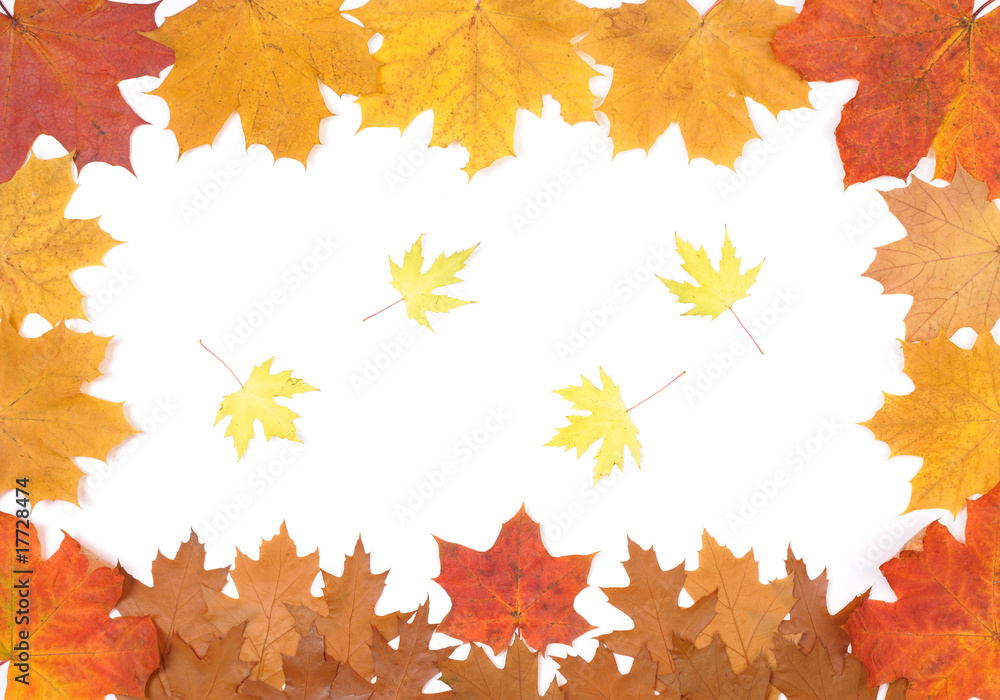 Autumn leaves Autumn leaves