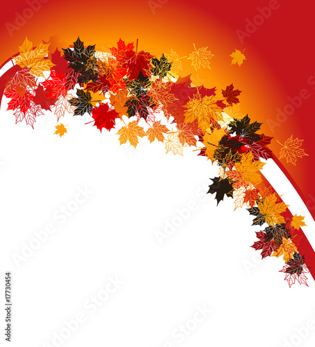 Autumn frame: maple leaf. Place for your text here.