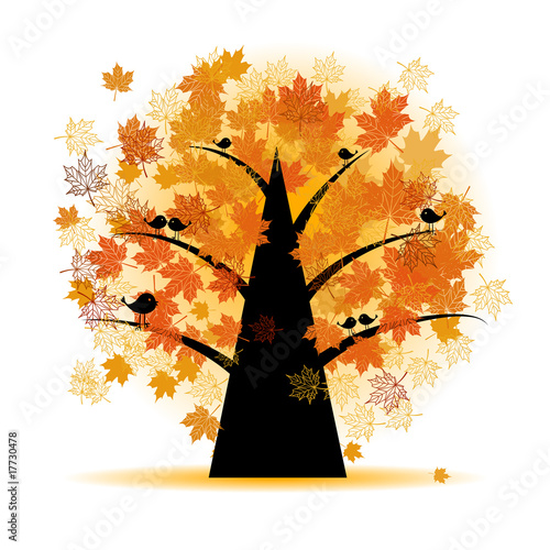 Maple tree, autumn leaf fall