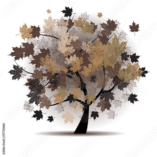 Maple tree, autumn leaf fall