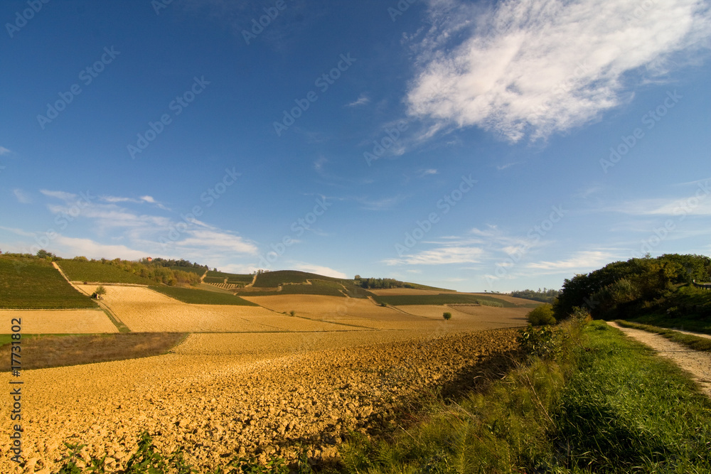 Obraz premium Colline del monferrato Piemonte