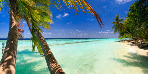 Tropical Paradise at Maldives #17733081