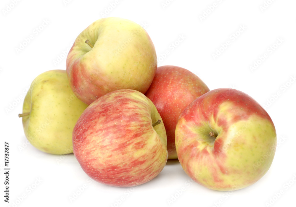 apples apples