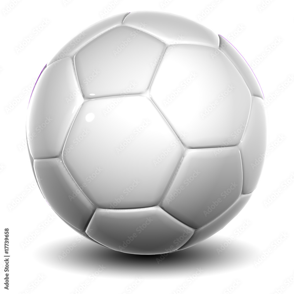 3d white leather soccer ball isolated on white background 3d white leather soccer ball isolated on white background