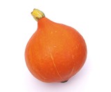 Potimarron orange sur fond blanc