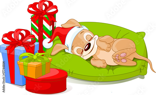 Christmas puppy