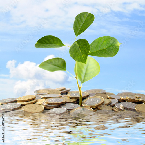 Growing money concept