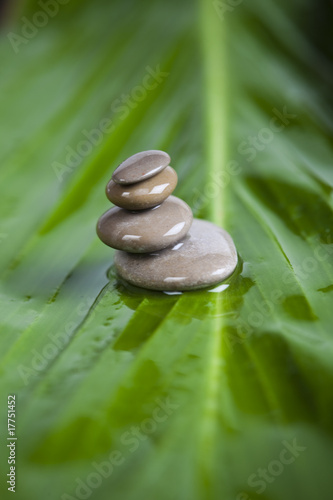 Stone pillar on green plants