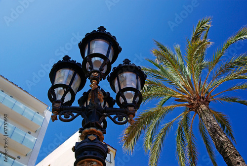 Street light and palms with luxury apartments building.