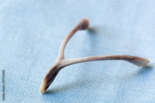 Canvastavla Wishbone