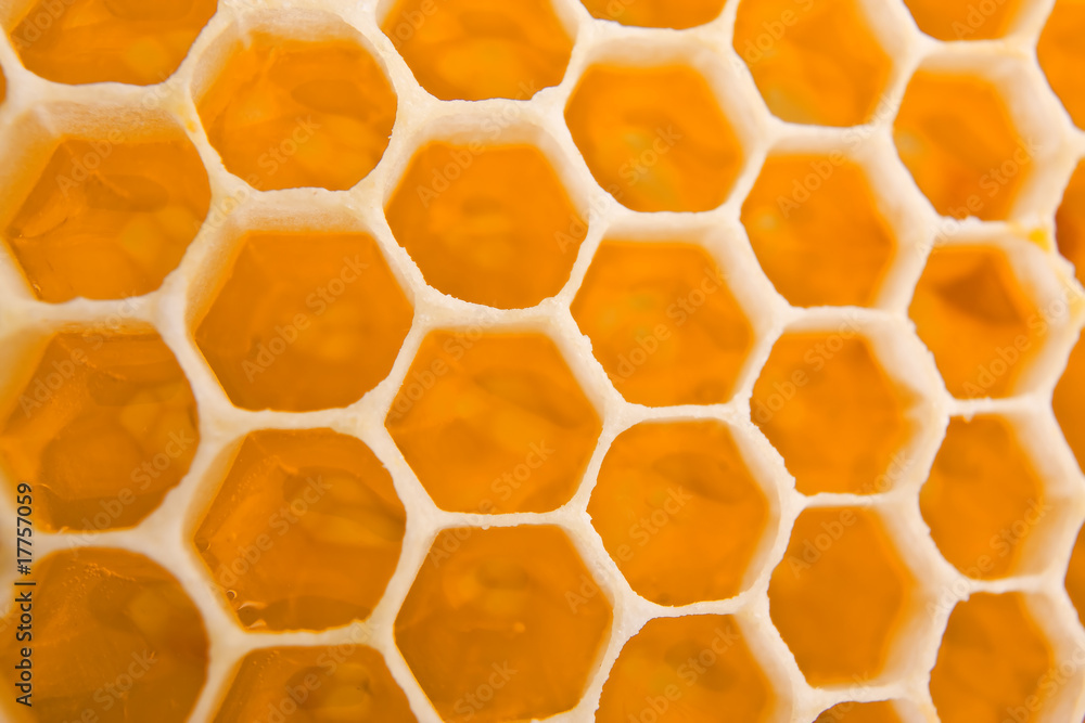 honey cells texture honey cells texture
