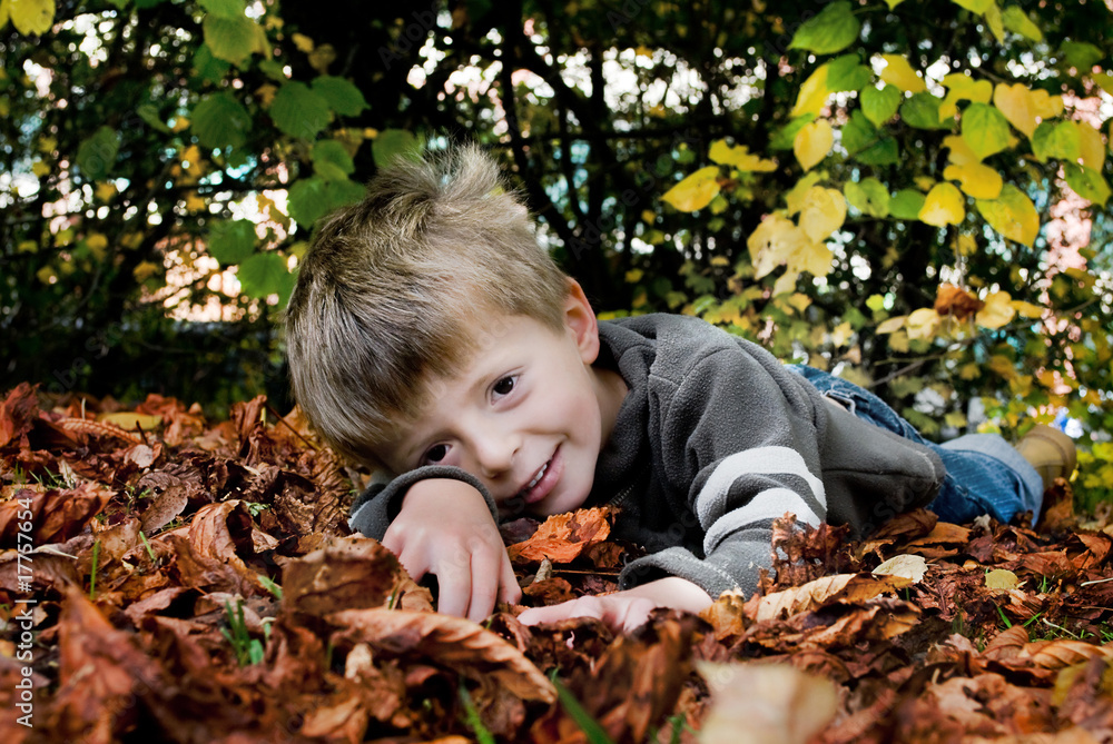 Little boy smiles as he lays in fallen autumn leaves. Little boy smiles as he lays in fallen autumn leaves.