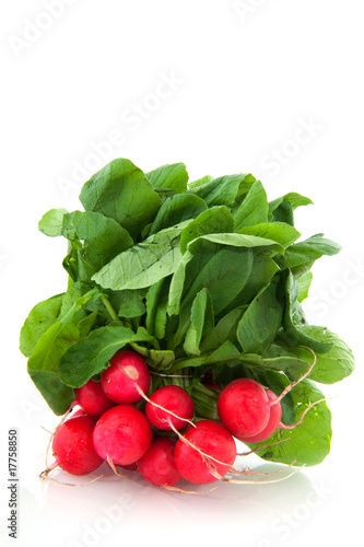 Freshness radish