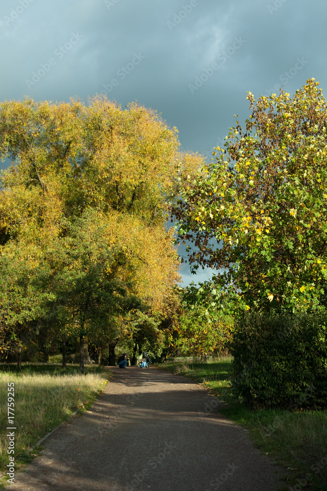 Obraz premium Autumn