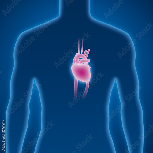 Herz, Kardiologie, Untersuchung