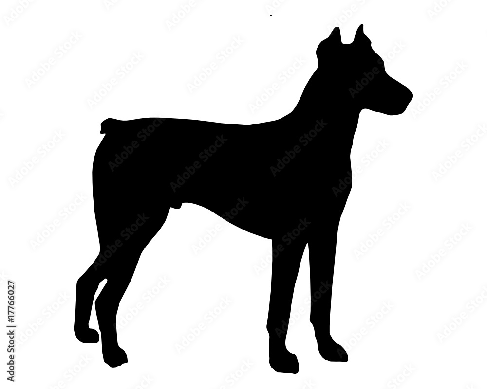 Schwarze Silhouette von einem Dobermann