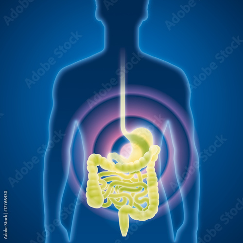 Magen, Darm, Magenmedizin, Untersuchung