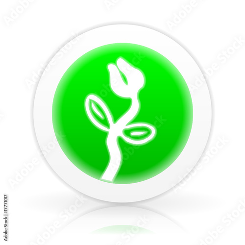 button v4 fleischfressende pflanze
