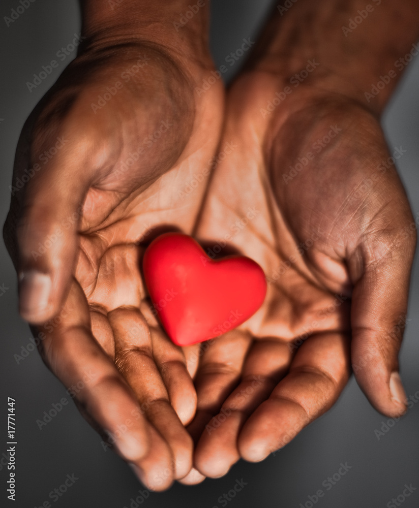 Obraz premium Heart in hand